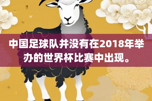 中国足球队并没有在2018年举办的世界杯比赛中出现。