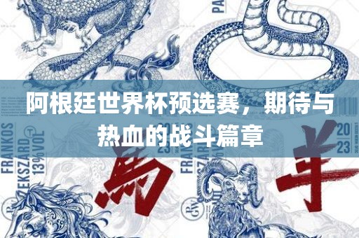 阿根廷世界杯预选赛,期待与热血的战斗篇章