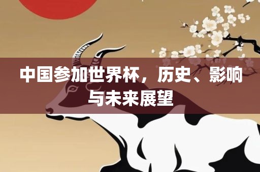 中国参加世界杯，历史、影响与未来展望