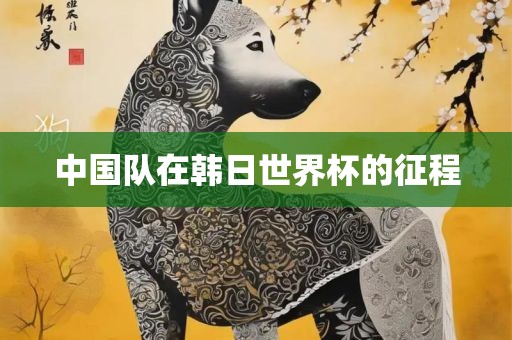 中国队在韩日世界杯的征程永康市本千工贸有限公司