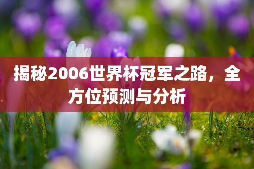 揭秘2006世界杯冠军之路,全方位预测与分析