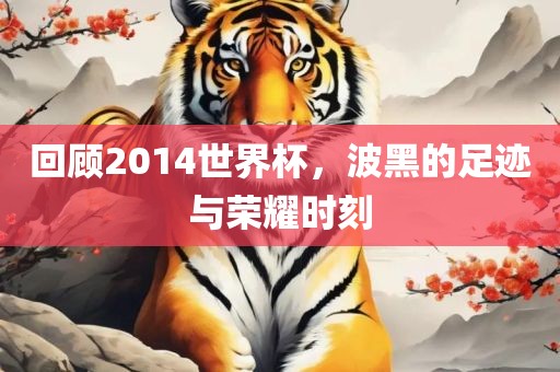 回顾2014世界杯,波黑的足迹与荣耀时刻