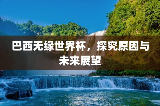 巴西无缘世界杯，探究原因与未来展望