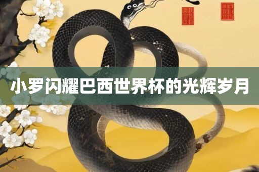 小罗闪耀巴西世界杯的光辉岁月