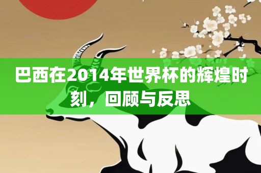 巴西在2014年世界杯的辉煌时刻,回顾与反思永康市本千工贸有限公司
