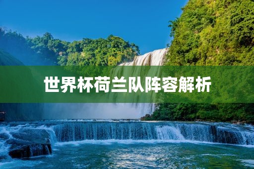 世界杯荷兰队阵容解析永康市本千工贸有限公司