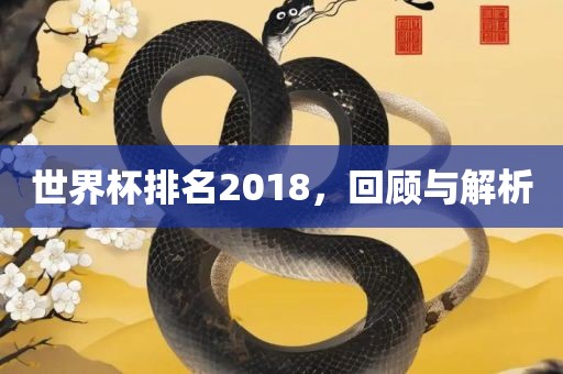 世界杯排名2018,回顾与解析