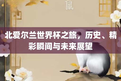 北爱尔兰世界杯之旅,历史、精彩瞬间与未来展望