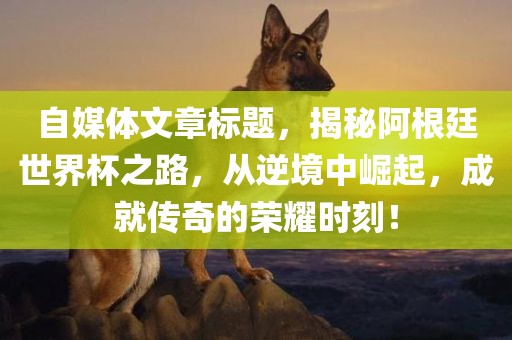 自媒体文章标题，揭秘阿根廷世界杯之路，从逆境中崛起，成就传奇的荣耀时刻！