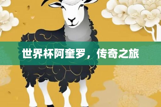 世界杯阿奎罗,传奇之旅