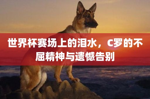 世界杯赛场上的泪水,C罗的不屈精神与遗憾告别永康市本千工贸有限公司