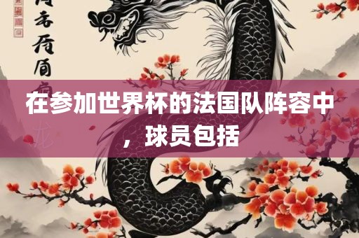 在参加世界杯的法国队阵容中,球员包括永康市本千工贸有限公司