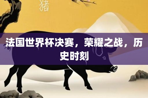 法国世界杯决赛,荣耀之战,历史时刻永康市本千工贸有限公司