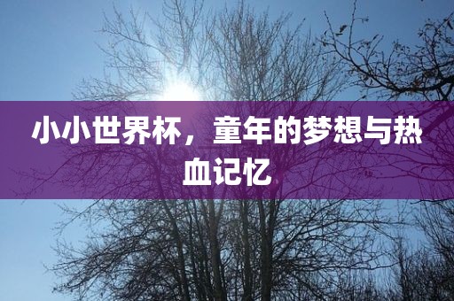 小小世界杯，童年的梦想与热血记忆永康市本千工贸有限公司