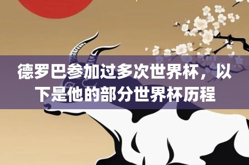 德罗巴参加过多次世界杯,以下是他的部分世界杯历程