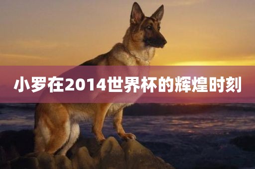 小罗在2014世界杯的辉煌时刻