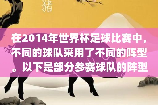 在2014年世界杯足球比赛中,不同的球队采用了不同的阵型。以下是部分参赛球队的阵型