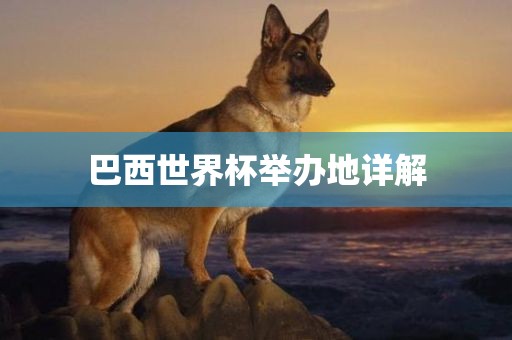 巴西世界杯举办地详解