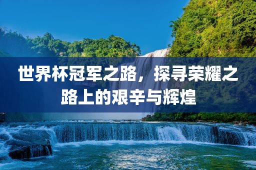 世界杯冠军之路,探寻荣耀之路上的艰辛与辉煌