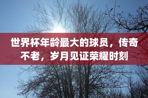 世界杯年龄最大的球员,传奇不老,岁月见证荣耀时刻
