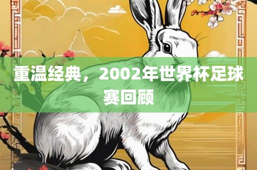 重温经典，2002年世界杯足球赛回顾永康市本千工贸有限公司
