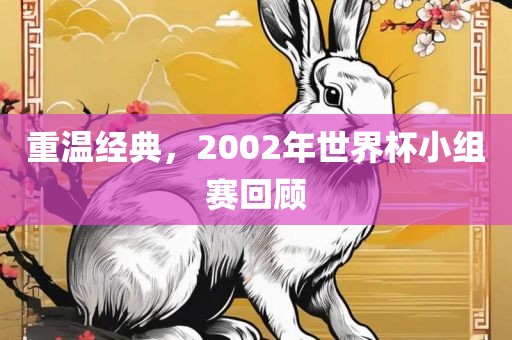 重温经典,2002年世界杯小组赛回顾