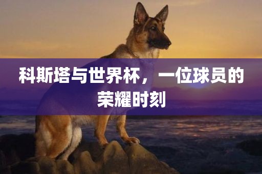 科斯塔与世界杯，一位球员的荣耀时刻