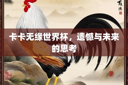 卡卡无缘世界杯,遗憾与未来的思考永康市本千工贸有限公司