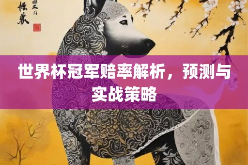 世界杯冠军赔率解析,预测与实战策略