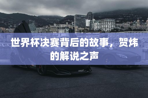 世界杯决赛背后的故事，贺炜的解说之声永康市本千工贸有限公司