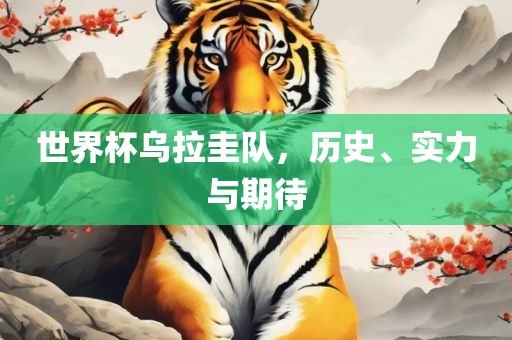 世界杯乌拉圭队，历史、实力与期待