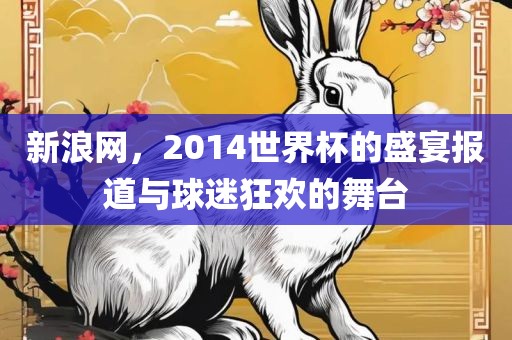 新浪网,2014世界杯的盛宴报道与球迷狂欢的舞台