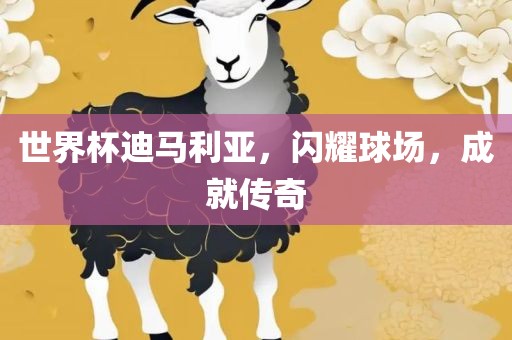 世界杯迪马利亚,闪耀球场,成就传奇