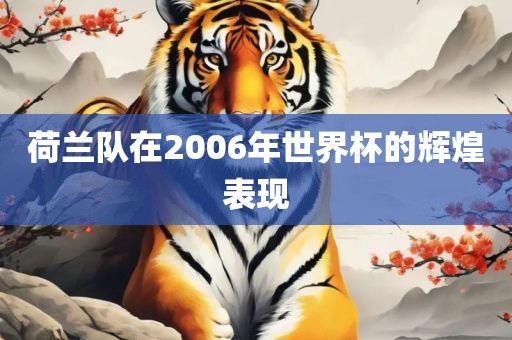 荷兰队在2006年世界杯的辉煌表现