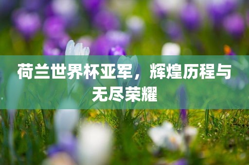 荷兰世界杯亚军，辉煌历程与无尽荣耀永康市本千工贸有限公司