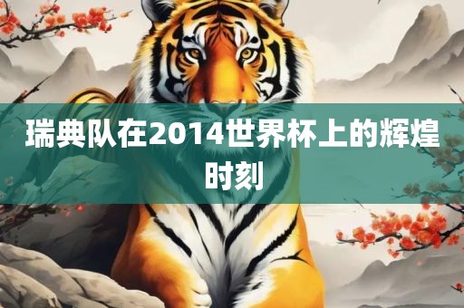 瑞典队在2014世界杯上的辉煌时刻