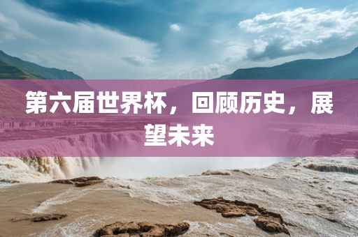 第六届世界杯,回顾历史,展望未来