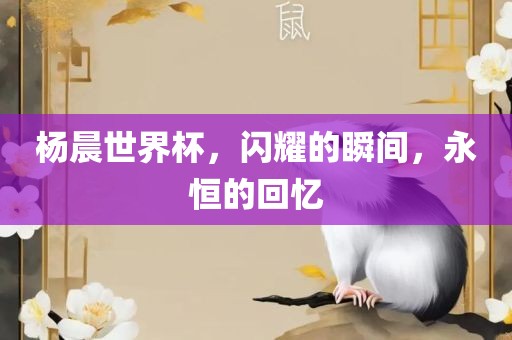 杨晨世界杯，闪耀的瞬间，永恒的回忆