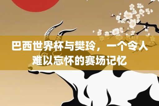 巴西世界杯与樊玲,一个令人难以忘怀的赛场记忆永康市本千工贸有限公司