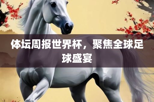 体坛周报世界杯,聚焦全球足球盛宴