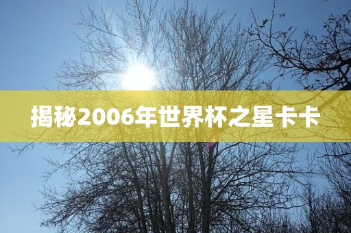 揭秘2006年世界杯之星卡卡永康市本千工贸有限公司