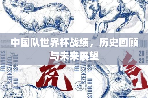 中国队世界杯战绩,历史回顾与未来展望