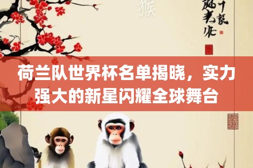 荷兰队世界杯名单揭晓,实力强大的新星闪耀全永康市本千工贸有限公司球舞台