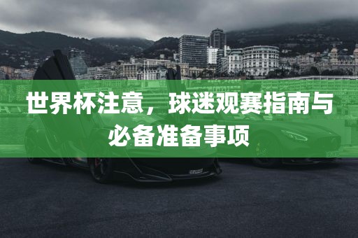 世界杯注意,球迷观赛指南与必备准备事项