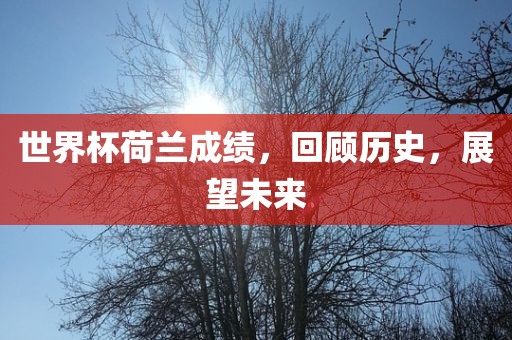 世界杯荷兰成绩,回顾历史,展望未来永康市本千工贸有限公司