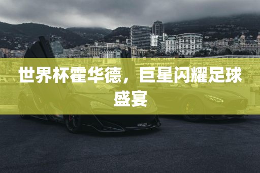 世界杯霍华德,巨星闪耀足球盛宴永康市本千工贸有限公司