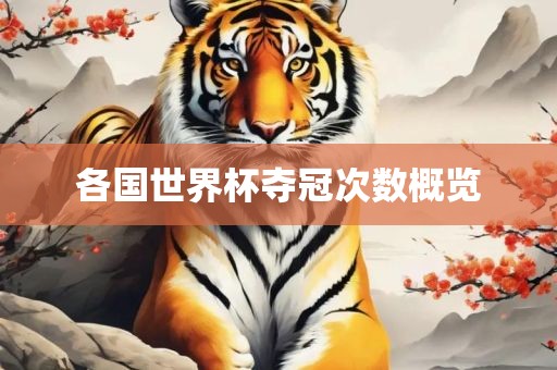 各国世界杯夺冠次数概览