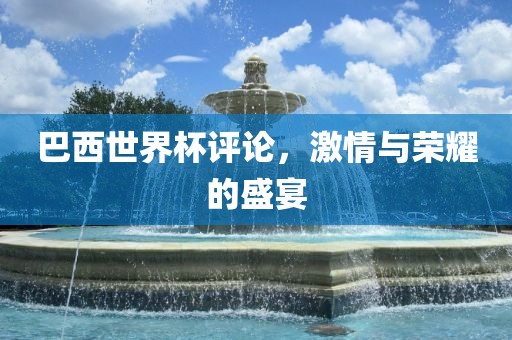 巴西世界杯评论,激情与荣耀的盛宴