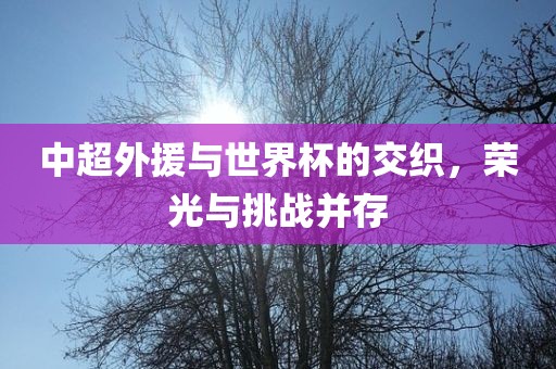 中超外援与世界杯的交织，荣光与挑战永康市本千工贸有限公司并存