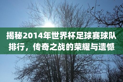 揭秘2014年世界杯足球赛球队排行，传奇之战的荣耀与永康市本千工贸有限公司遗憾